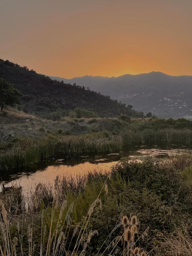 Villa Rica Patti Bagian luar foto