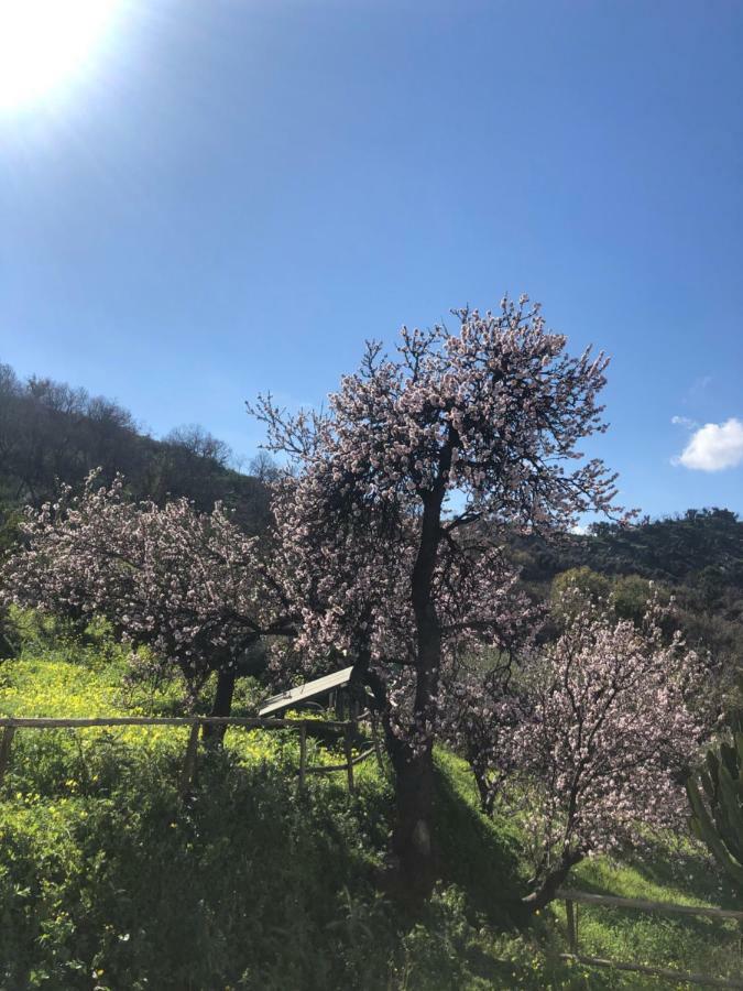 Villa Rica Patti Bagian luar foto